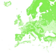 MapTiler Landcover