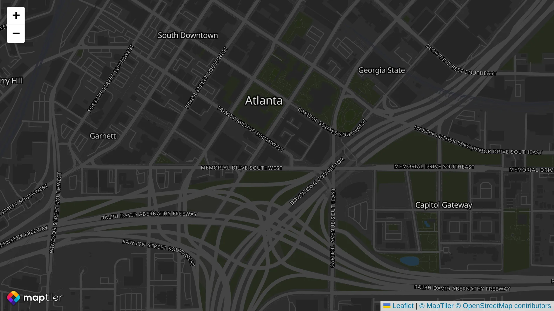 Display Leaflet map using Vite